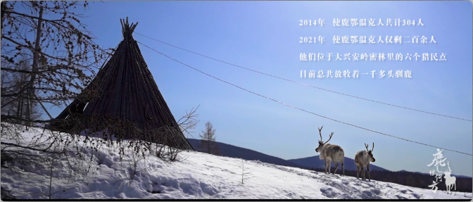 大一刷跑时路过学服,路灯照着月亮